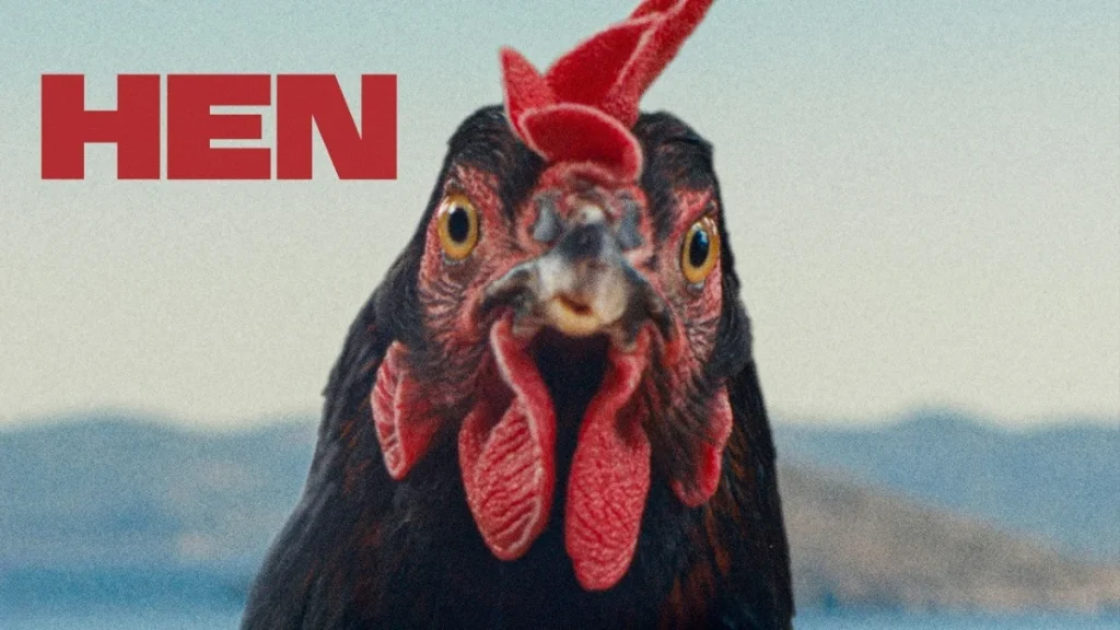 Hen Featured
