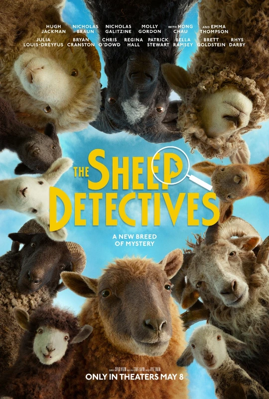 Sheep Detectives Xlg