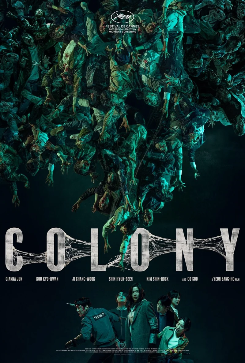Colony Gunche Xlg